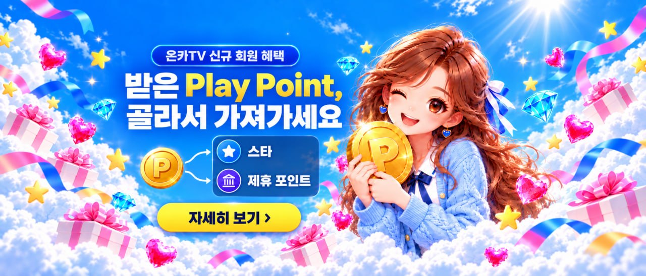 Play Point 이용 가이드